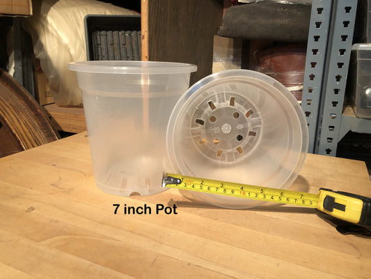 7 inch pot