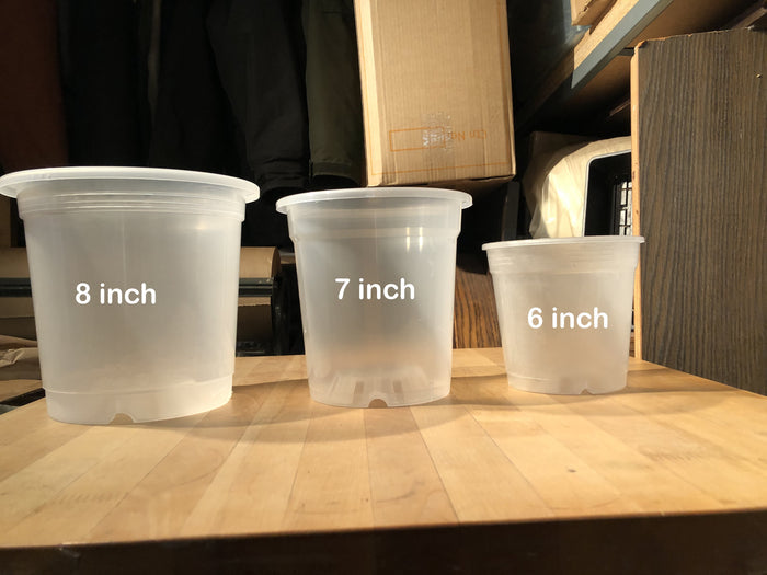 7 inch pot