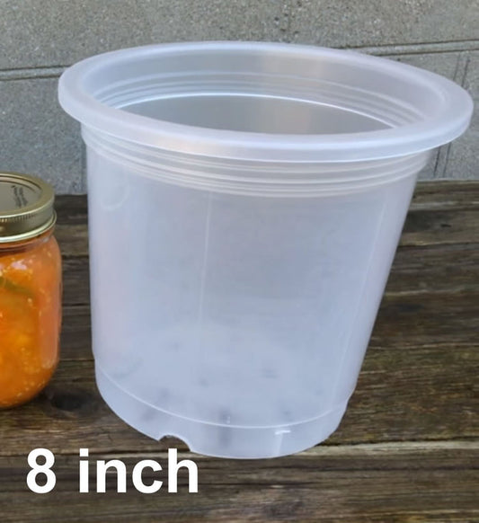 8 inch pot